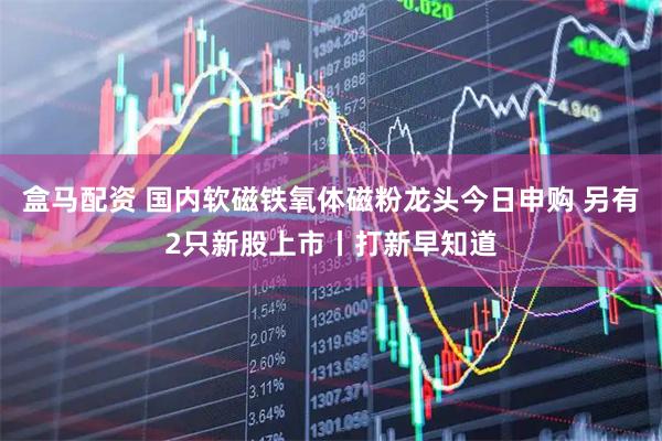 盒马配资 国内软磁铁氧体磁粉龙头今日申购 另有2只新股上市丨打新早知道